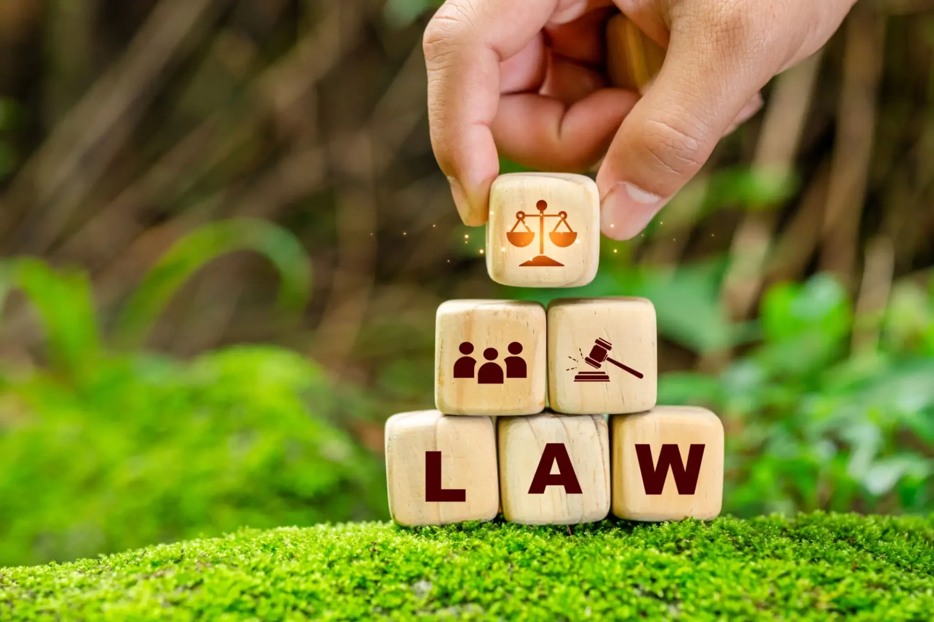 Wooden blocks with legal symbols and "LAW".